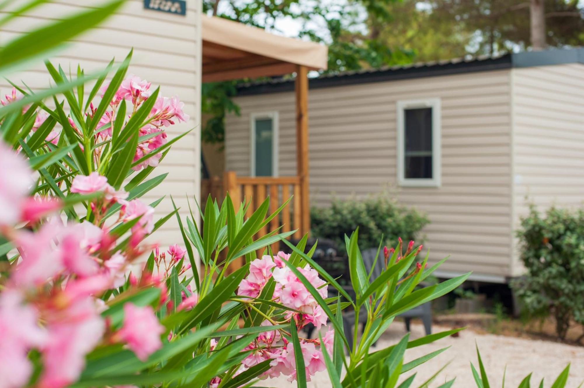 Camping Les Jardins D Agathe Le Grau-dʼAgde 外观 照片
