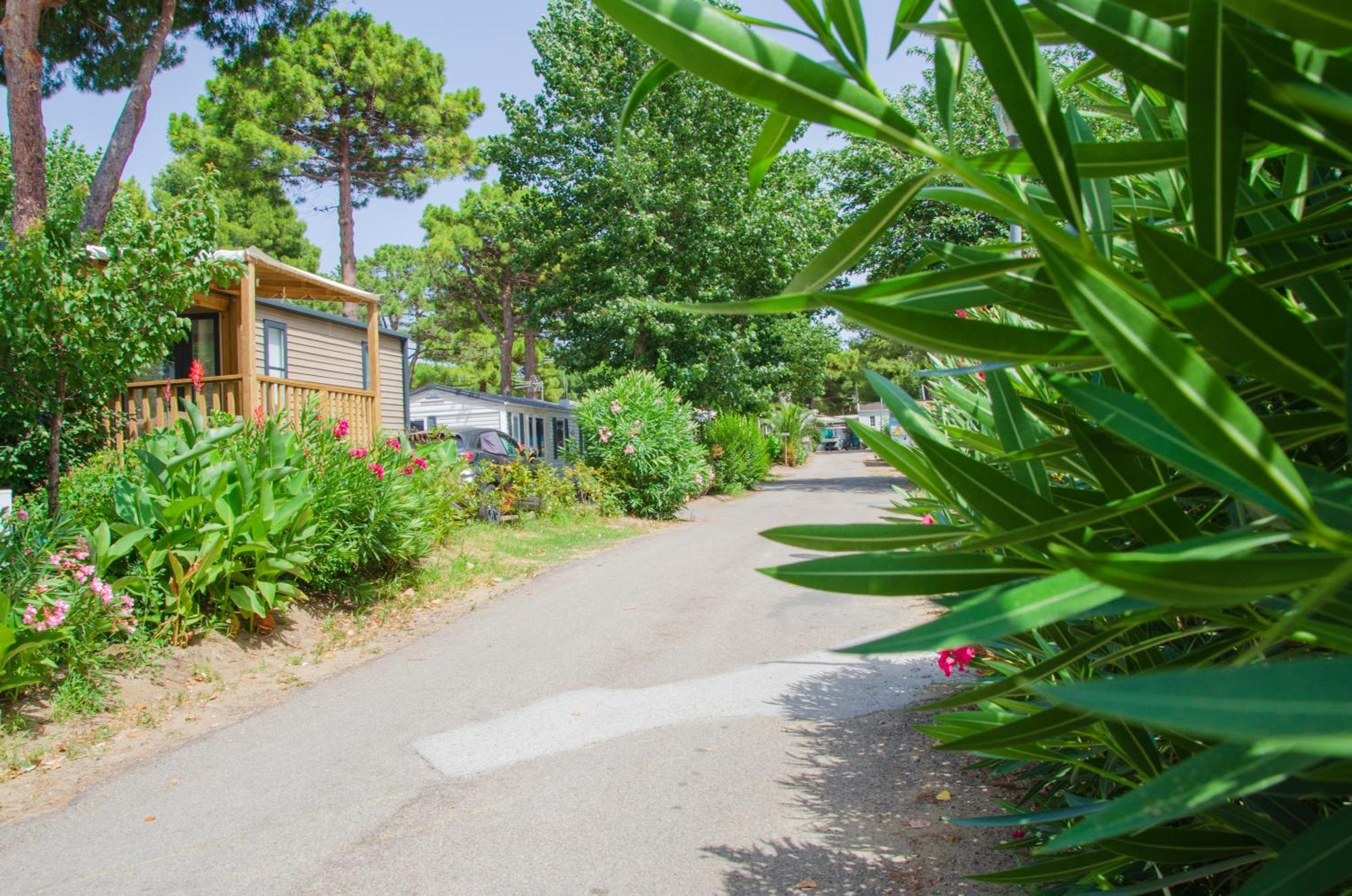 Camping Les Jardins D Agathe Le Grau-dʼAgde 外观 照片