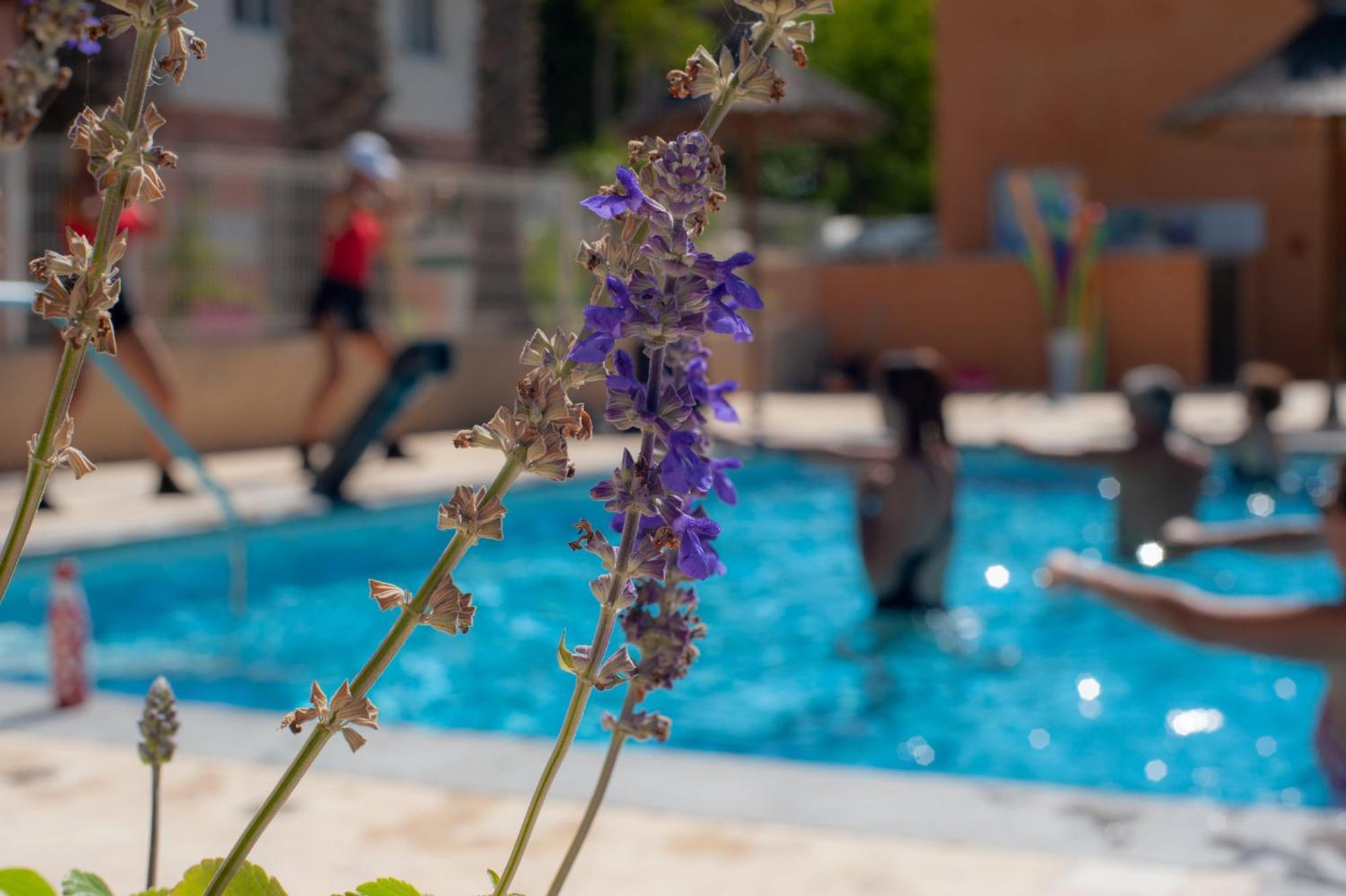 Camping Les Jardins D Agathe Le Grau-dʼAgde 外观 照片