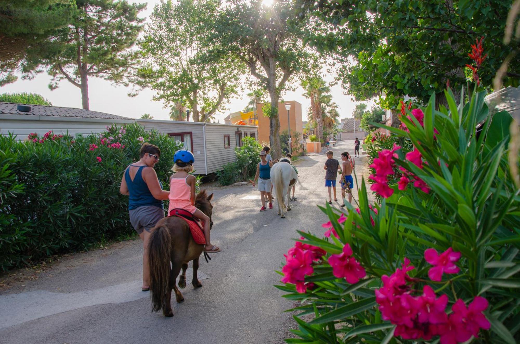 Camping Les Jardins D Agathe Le Grau-dʼAgde 外观 照片